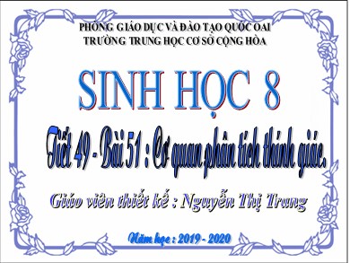 Bài giảng môn Sinh học 8 - Bài học 51: Cơ quan phân tích thính giác