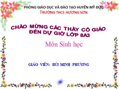 Bài giảng môn Sinh học 8 - Tiết số 24 - Bài 22: Vệ sinh hô hấp