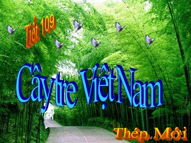 Bài giảng Ngữ văn 6 - Bài dạy: Cây tre Việt Nam