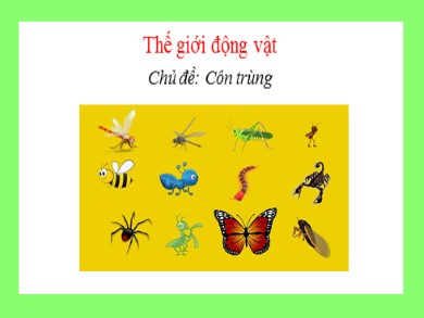 Bài giảng Ngữ văn 6 - Bài học đường đời đầu tiên