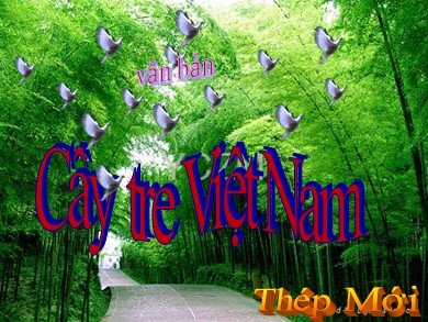 Bài giảng Ngữ văn 6 - Bài: Văn bản: Cây tre Việt Nam