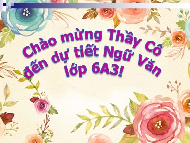 Bài giảng Ngữ văn 6 - Chỉ từ