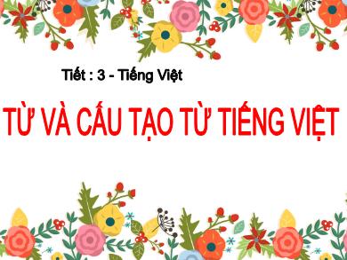 Bài giảng Ngữ văn 6 - Tiết 03: Từ và cấu tạo từ Tiếng Việt