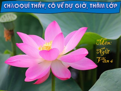 Bài giảng Ngữ văn 6 - Tiết 61: Cụm động từ