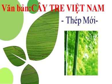 Bài giảng Ngữ văn 6 - Văn bản: Cây tre Việt Nam