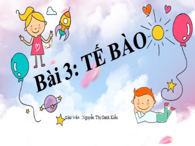 Bài giảng Sinh học 8 - Bài 03: Tế bào