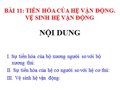 Bài giảng Sinh học 8 - Bài 11: Tiến hóa của hệ vận động, vệ sinh hệ vận động