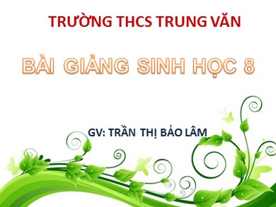 Bài giảng Sinh học 8 - Bài 17: Tim và mạch máu