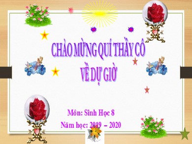 Bài giảng Sinh học 8 - Bài 24: Tiêu hóa và các cơ quan tiêu hóa