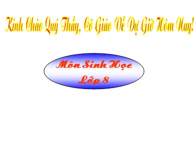 Bài giảng Sinh học 8 - Bài 29: Hấp thụ chất dinh dưỡng và chất thải