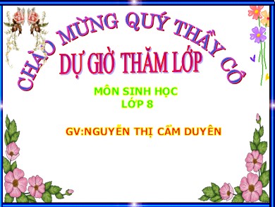 Bài giảng Sinh học 8 - Bài 29: Hấp thụ chất dinh dưỡng và thải phân