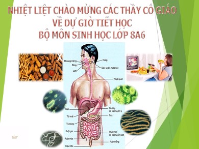 Bài giảng Sinh học 8 - Bài 30: Vệ sinh tiêu hóa