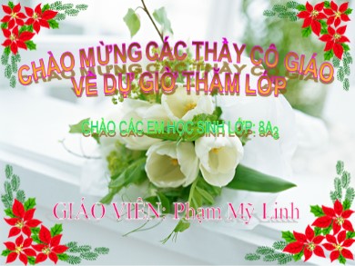 Bài giảng Sinh học 8 - Bài 34: Vitamin và muối khoáng