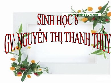 Bài giảng Sinh học 8 - Bài 39 + 40: Bài tiết nước tiểu - Vệ sinh hệ bài tiết nước tiểu