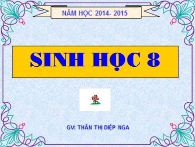 Bài giảng Sinh học 8 - Bài 39: Bài tiết nước tiểu