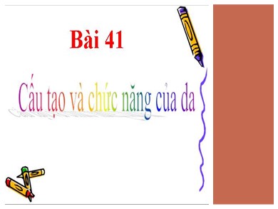 Bài giảng Sinh học 8 - Bài 41: Cấu tạo và chức năng của da