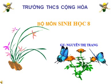 Bài giảng Sinh học 8 - Bài 47: Đại não