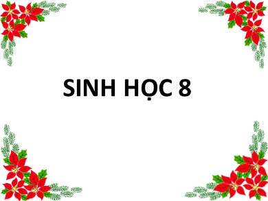 Bài giảng Sinh học 8 - Bài 5: Thực hành: Quan sát tế bào thực vật