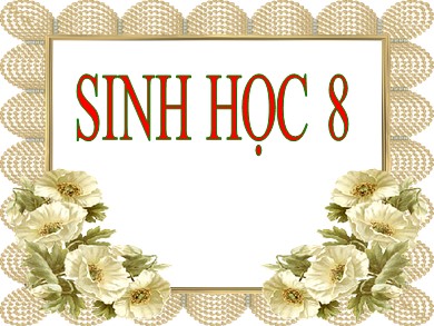 Bài giảng Sinh học 8 - Bài 58: Tuyến sinh dục