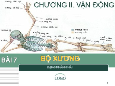 Bài giảng Sinh học 8 - Bài 7: Bộ xương