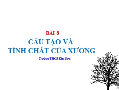 Bài giảng Sinh học 8 - Bài 8: Cấu tạo và tính chất của xương