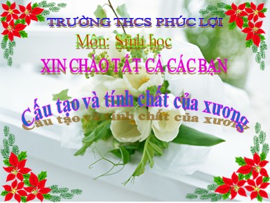 Bài giảng Sinh học 8 - Bài: Cấu tạo và tính chất của xương