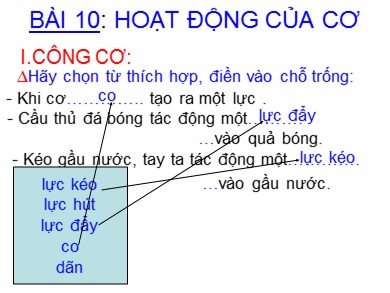 Bài giảng Sinh học 8 - Bài dạy 10: Hoạt động của cơ