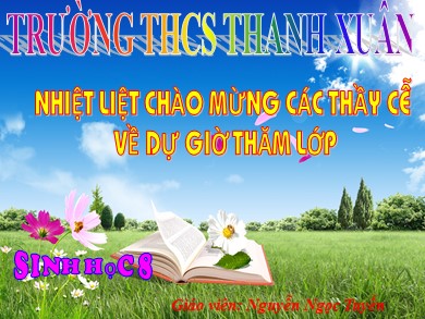 Bài giảng Sinh học 8 - Bài dạy 20: Hô hấp và các cơ quan hô hấp