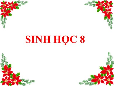 Bài giảng Sinh học 8 - Bài dạy 25: Tiêu hoá ở khoang miệng