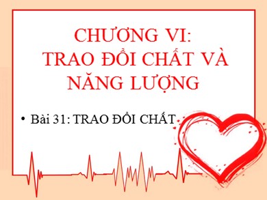 Bài giảng Sinh học 8 - Bài dạy 31: Trao đổi chất