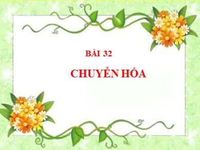 Bài giảng Sinh học 8 - Bài dạy 32: Chuyển hóa