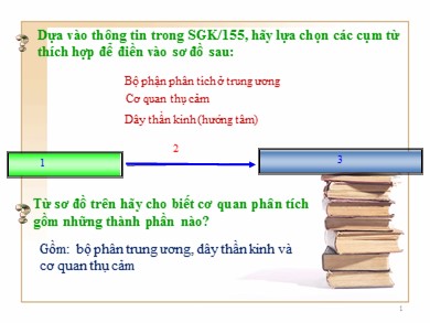 Bài giảng Sinh học 8 - Bài dạy 50: Vệ sinh mắt