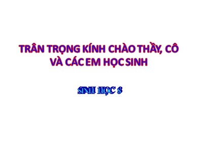 Bài giảng Sinh học 8 - Bài dạy số 13: Máu và môi trường trong cơ thể