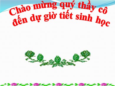 Bài giảng Sinh học 8 - Bài học 11: Tiến hóa của hệ vận động, vệ sinh hệ vận động