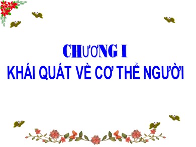 Bài giảng Sinh học 8 - Bài học 2: Cấu tạo cơ thể người