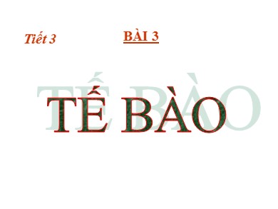 Bài giảng Sinh học 8 - Bài học 3: Tế bào