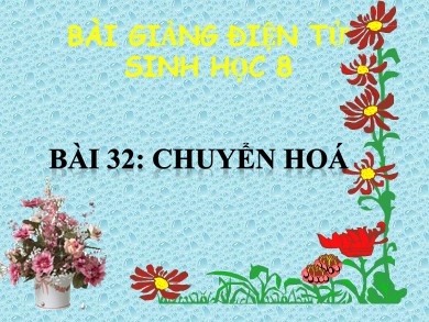 Bài giảng Sinh học 8 - Bài học 32: Chuyển hoá