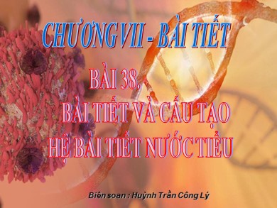 Bài giảng Sinh học 8 - Bài học 38: Bài tiết và cấu tạo hệ bài tiết nước tiểu