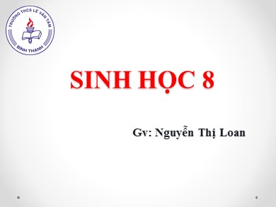 Bài giảng Sinh học 8 - Bài học 46: Trụ não, tiểu não, não trung gian