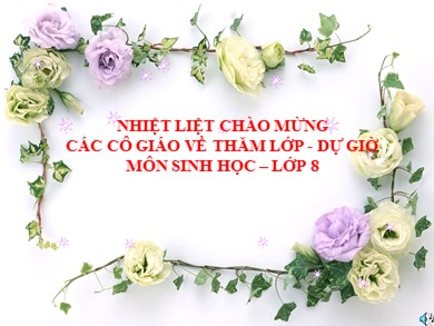 Bài giảng Sinh học 8 - Bài số 11: Tiến hóa của hệ vận động, vệ sinh hệ vận động