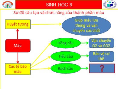 Bài giảng Sinh học 8 - Bài số 15: Đông máu và nguyên tắc truyền máu