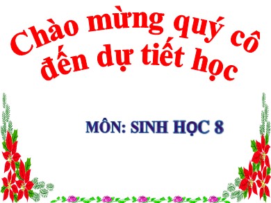 Bài giảng Sinh học 8 - Bài số 25: Tiêu hóa ở khoang miệng