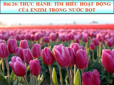 Bài giảng Sinh học 8 - Bài số 26: Thực hành: Tìm hiểu hoạt động của enzim trong nước bọt