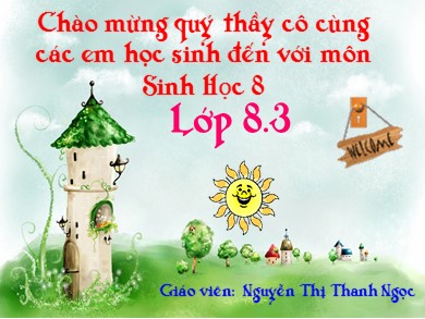 Bài giảng Sinh học 8 - Bài số 38: Bài tiết và cấu tạo hệ bài tiết nước tiểu