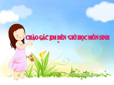 Bài giảng Sinh học 8 - Bài số 40: Vệ sinh hệ bài tiết nước tiểu