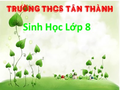 Bài giảng Sinh học 8 - Bài1: Bài mở đầu