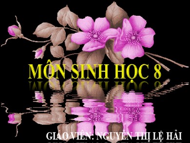 Bài giảng Sinh học 8 - Cơ quan phân tích thị giác vệ sinh mắt