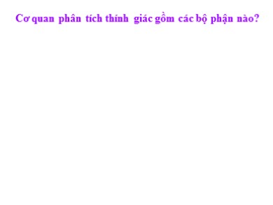 Bài giảng Sinh học 8 - Cơ quan phân tích thính giác