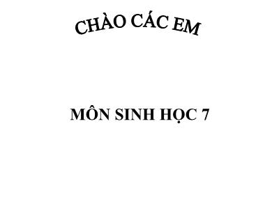 Bài giảng Sinh học 8 - Đa dạng của lớp thú