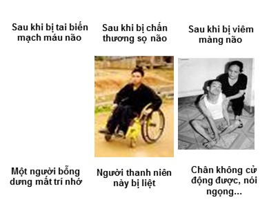 Bài giảng Sinh học 8 - Đại não